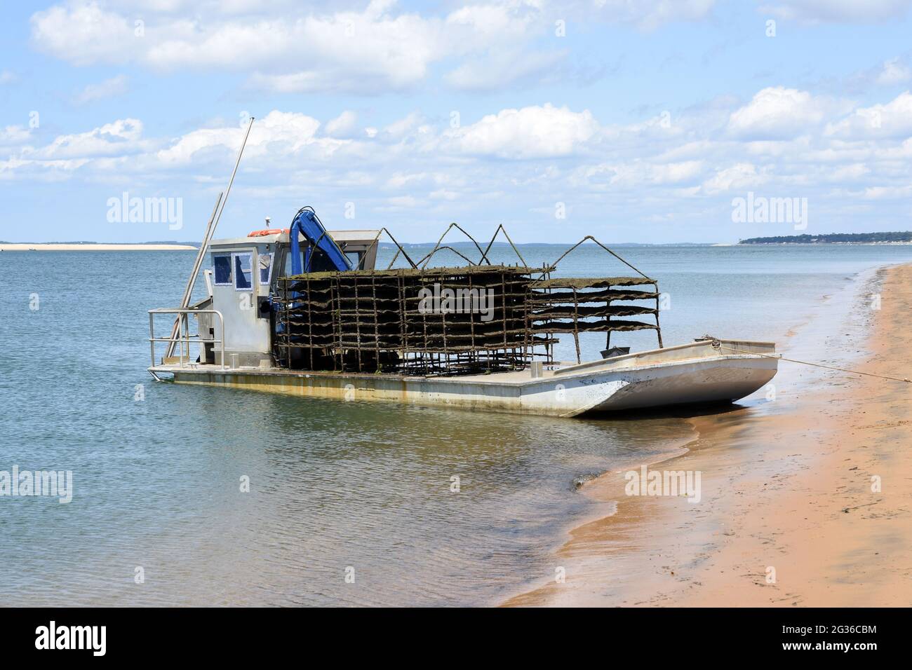 France, Aquitaine, bassin d'Arcachon, oyster barge is an aluminum boat that thanks to low draft facilitates access to oyster farm according the tides. Stock Photo