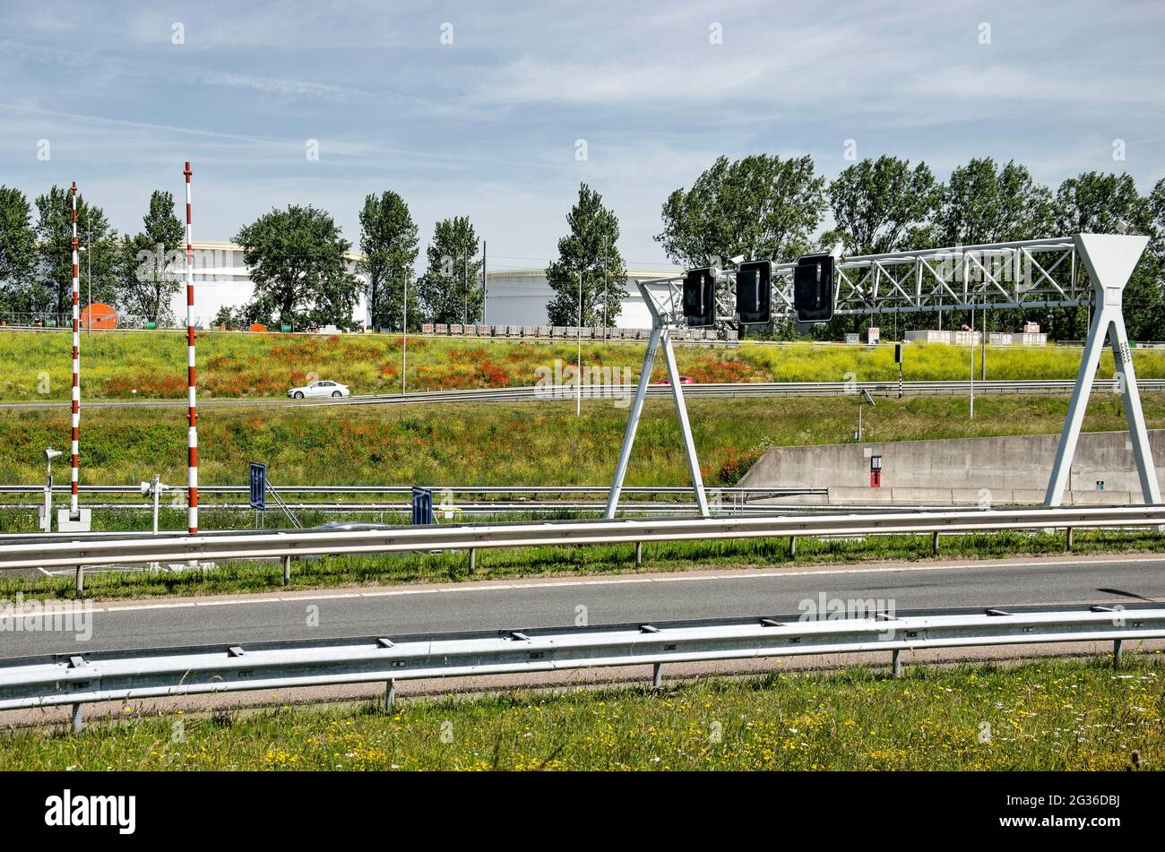 Rotterdam, The Netherlands, June 12, 2021: highway through Europoort industrial area with abundant rapeseed and poppies on its roadsides Stock Photo