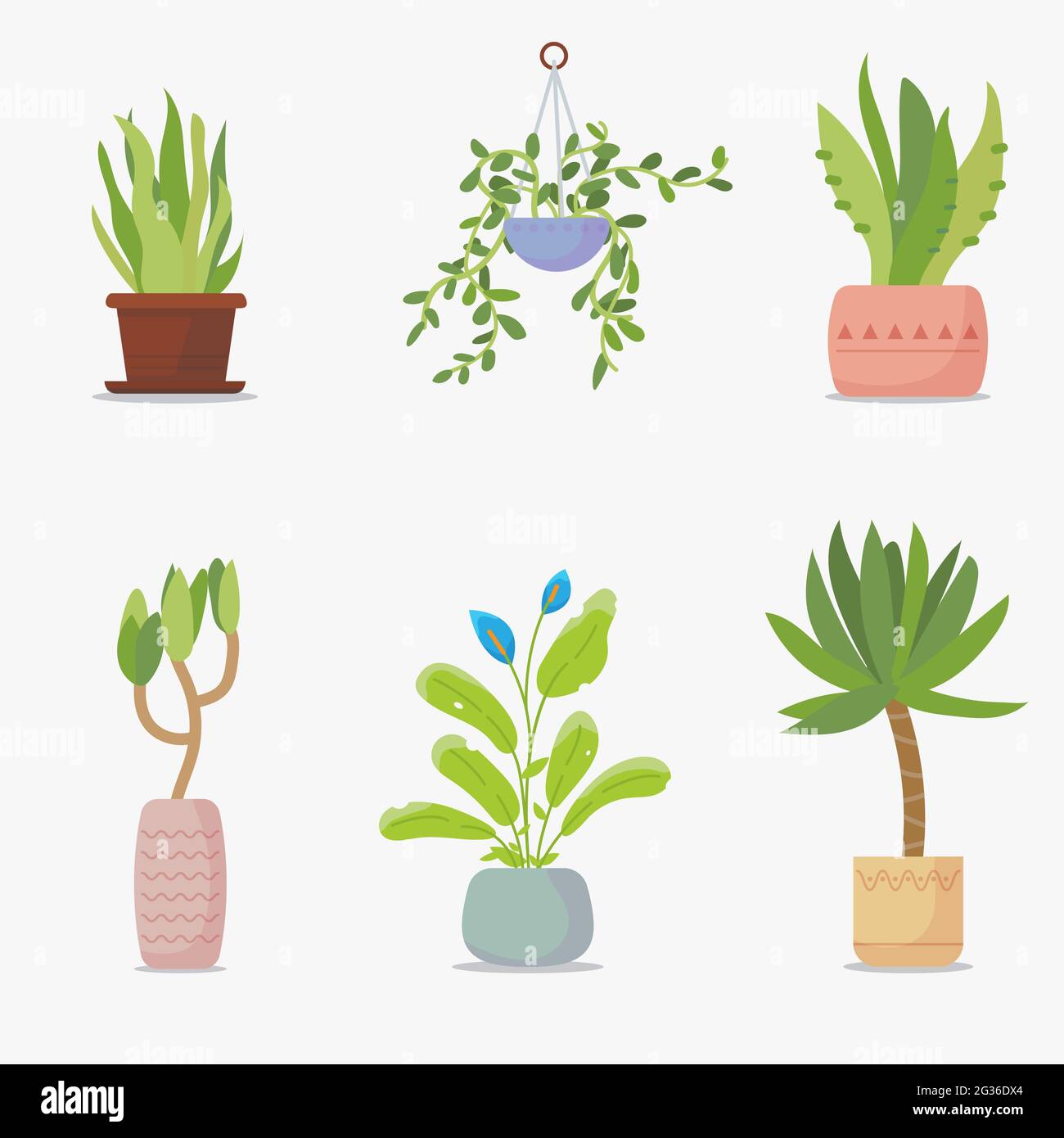 Set of house plants Stock Vector