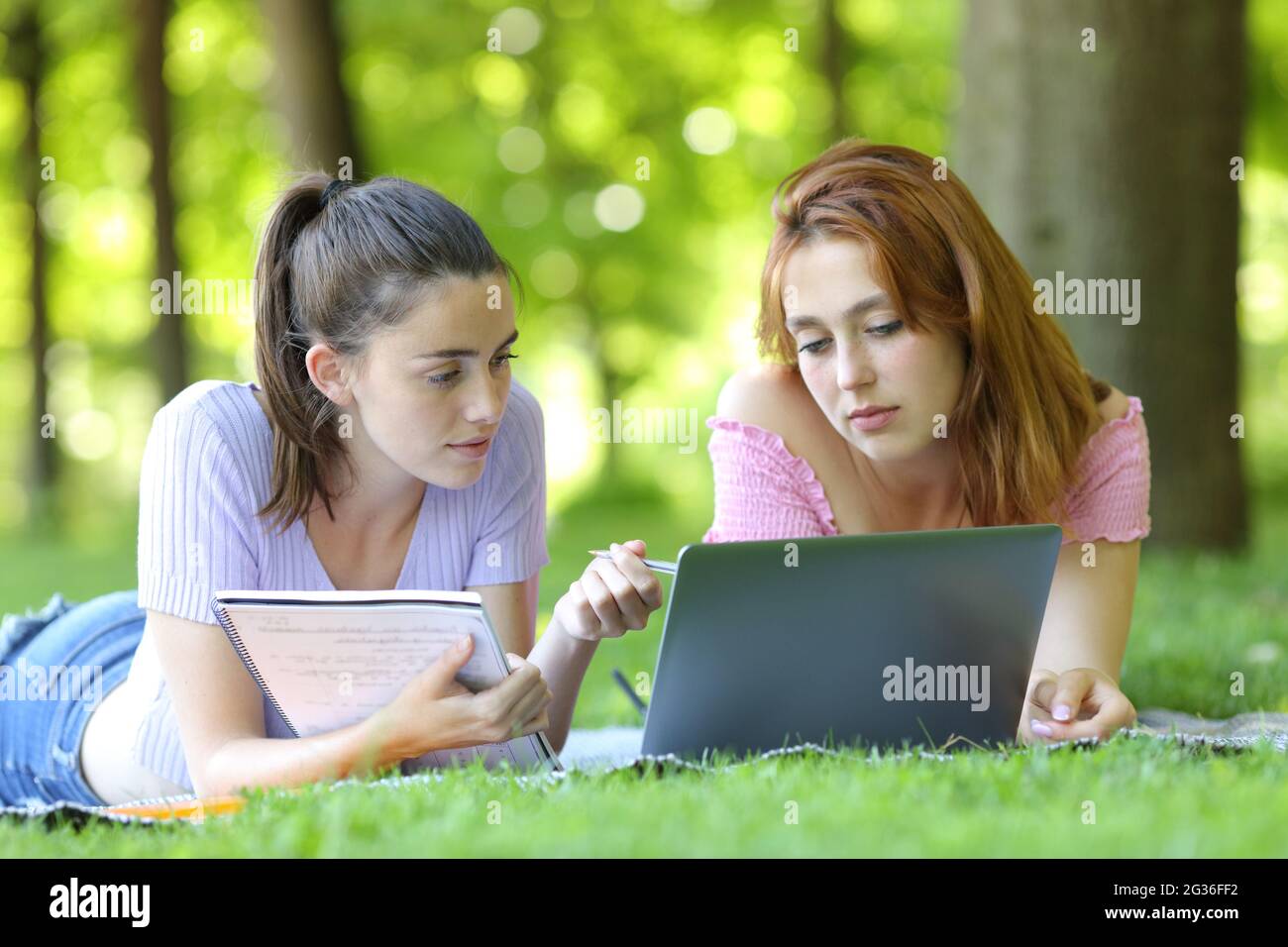 Two students e-learning comparing notes online with a laptop in a park or campus Stock Photo