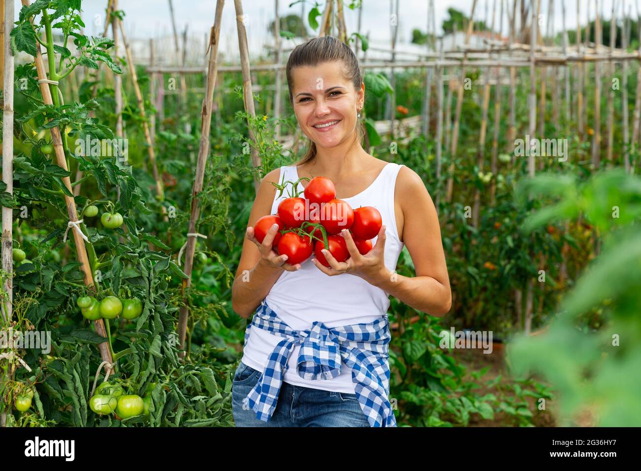 Woman farmer with harvest of tomatoes in sunny garden Stock Photo - Alamy
