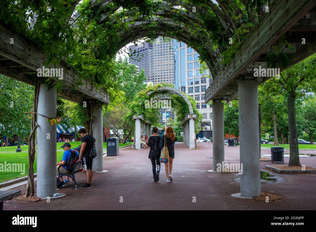 The Financial District from Christopher Columbus Park, Boston, Massachusetts, USA.  Green grass park ground at Christopher Columbus Waterfront Park lo Stock Photo