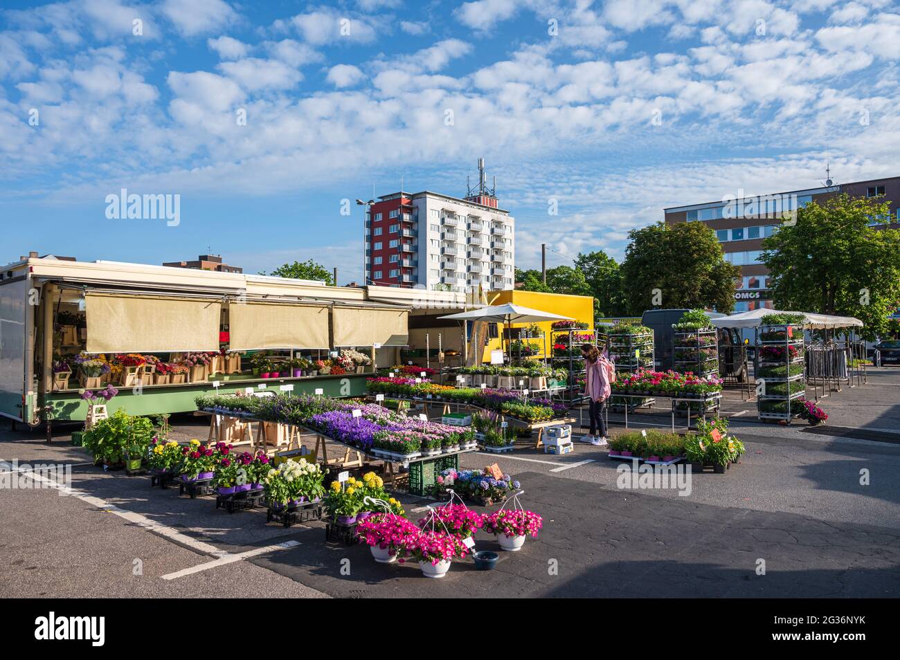 Wochenmarkt auf dem Exerzierplatz in Kiel in aller Frühe, es herrscht noch völlige Ruhe vor dem Ansturm Stock Photo