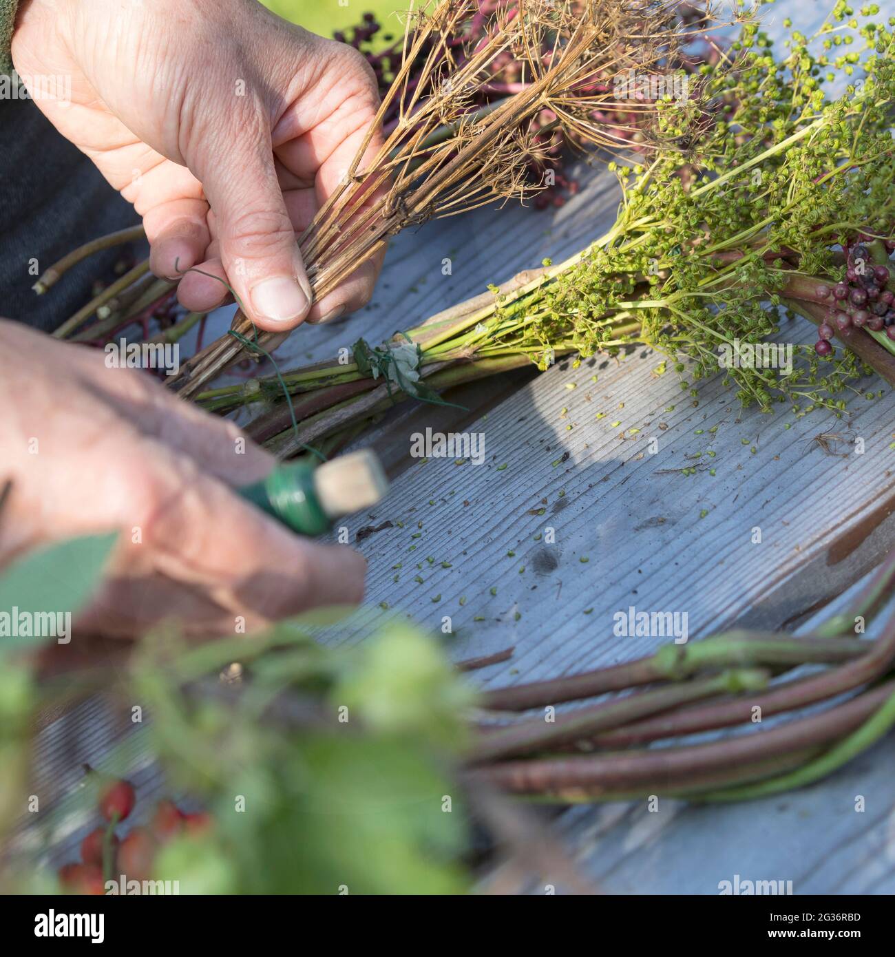 Collected materials hi-res stock photography and images - Alamy