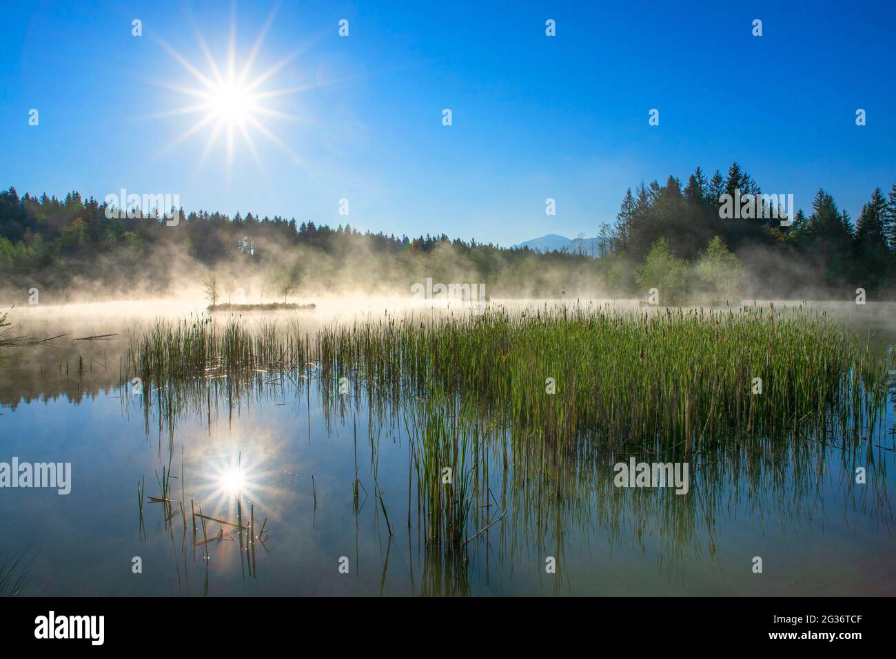 sunrise at a lake at the Murnauer Moos, Germany, Bavaria, Murnauer Moos Stock Photo