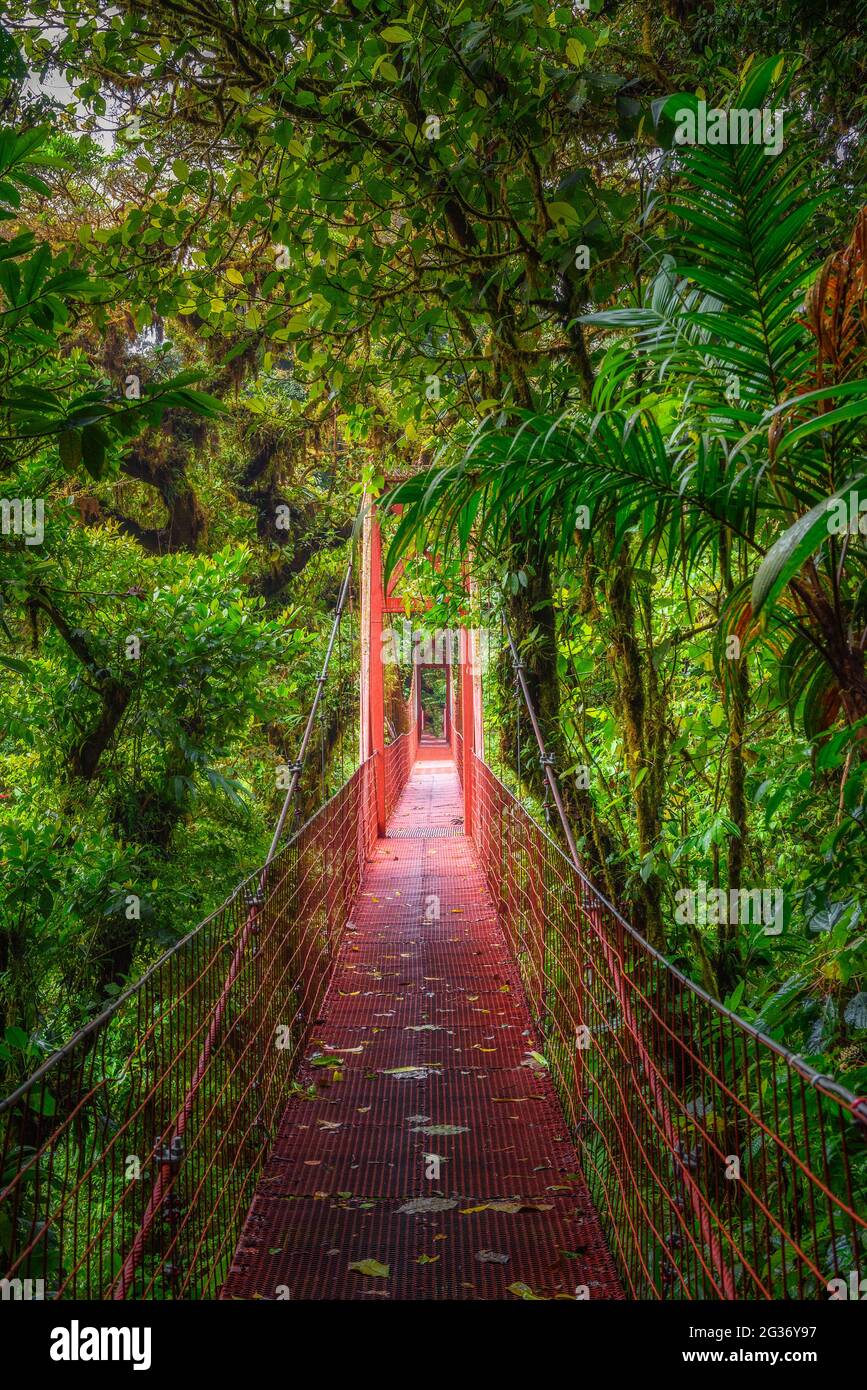 Red suspension bridge in Monteverde Cloud Forest, Costa Rica Stock