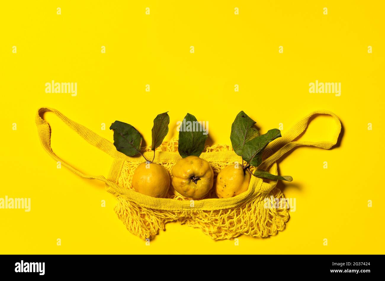 Three quince apples with natural leaves and yellow net string shopping bag. Flat lay on yellow paper background. Fruits and leaves have natural imperf Stock Photo