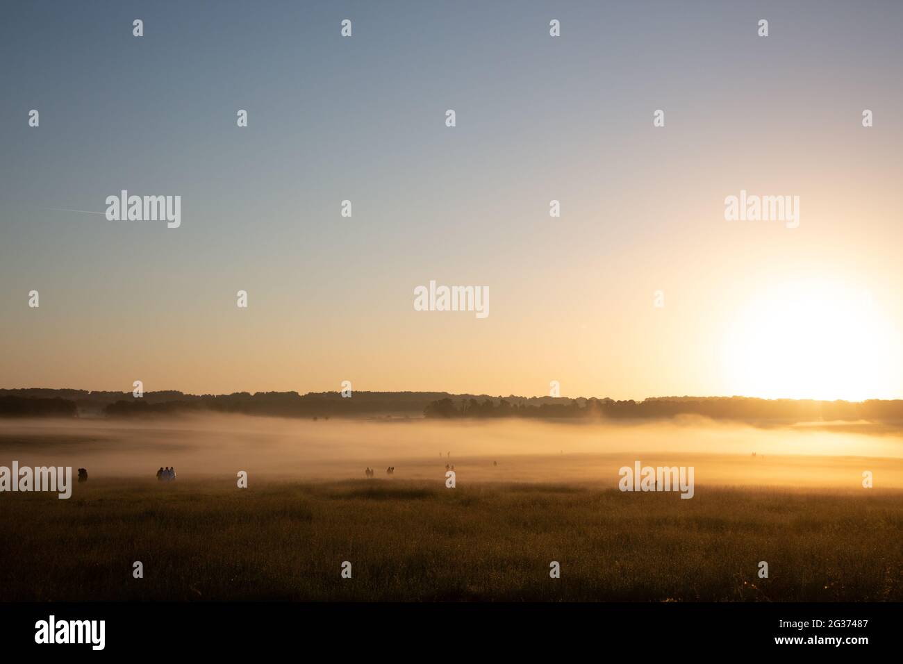 Morning mist on Salisbury Plain on the fday os the summer solstice. Stonehenge, England, UK. Stock Photo