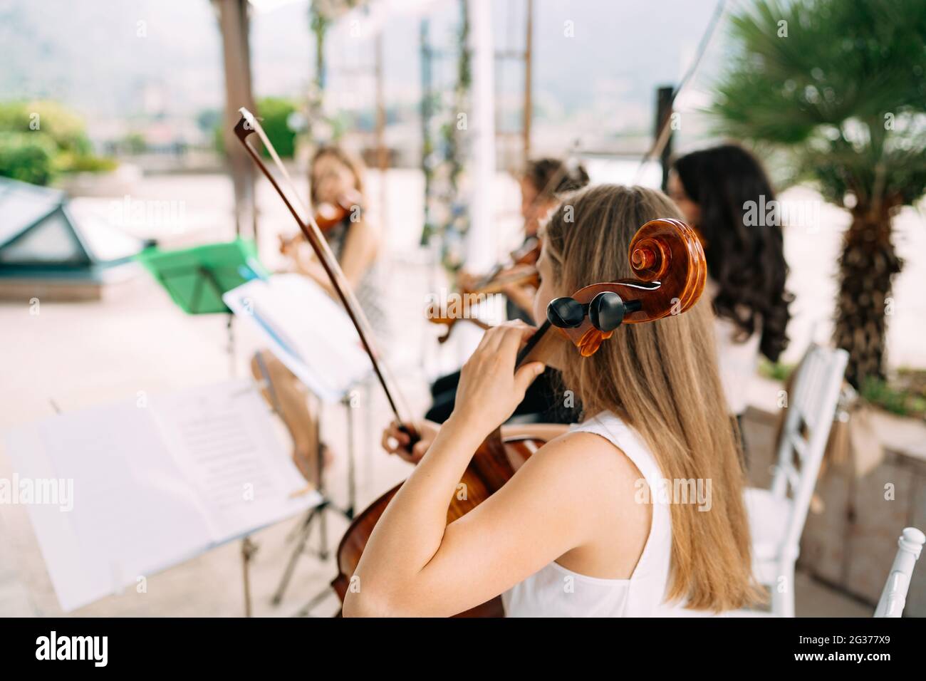 Girl musician from the string orchestra sits near the music stand and