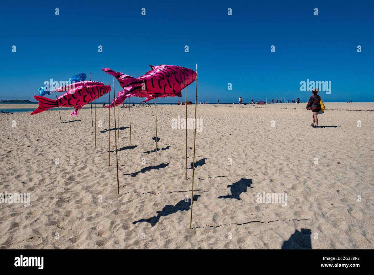 Brightly coloured fish shaped kites with SOS on the side to highlight concerns of climate change to sea life as part of the G7 protests Carbis Bay Stock Photo