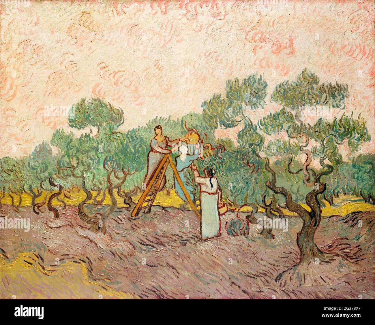 Women Picking Olives (1889) by Vincent Van Gogh. Stock Photo