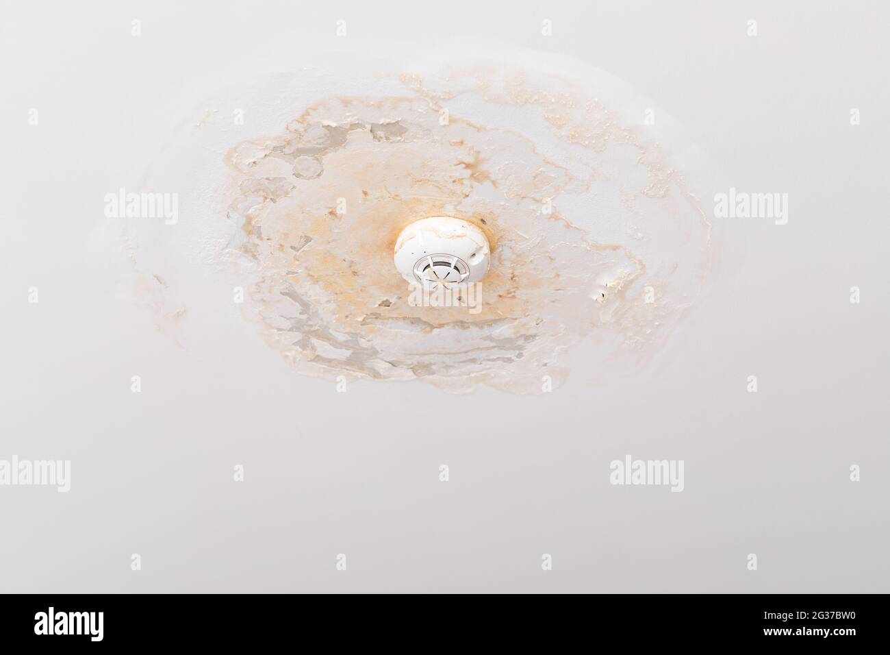 Damp on a wall causing damage and peeling paint Stock Photo
