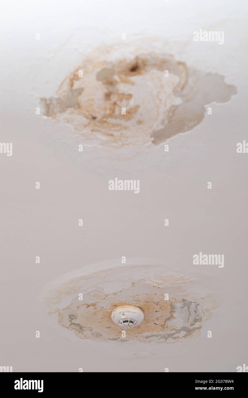Damp on a wall causing damage and peeling paint Stock Photo Alamy