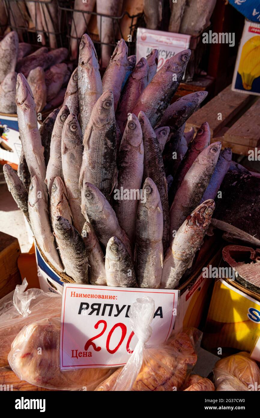 Deep frozen fish at the Fish and meat market, Yakutsk, Sakha Republic