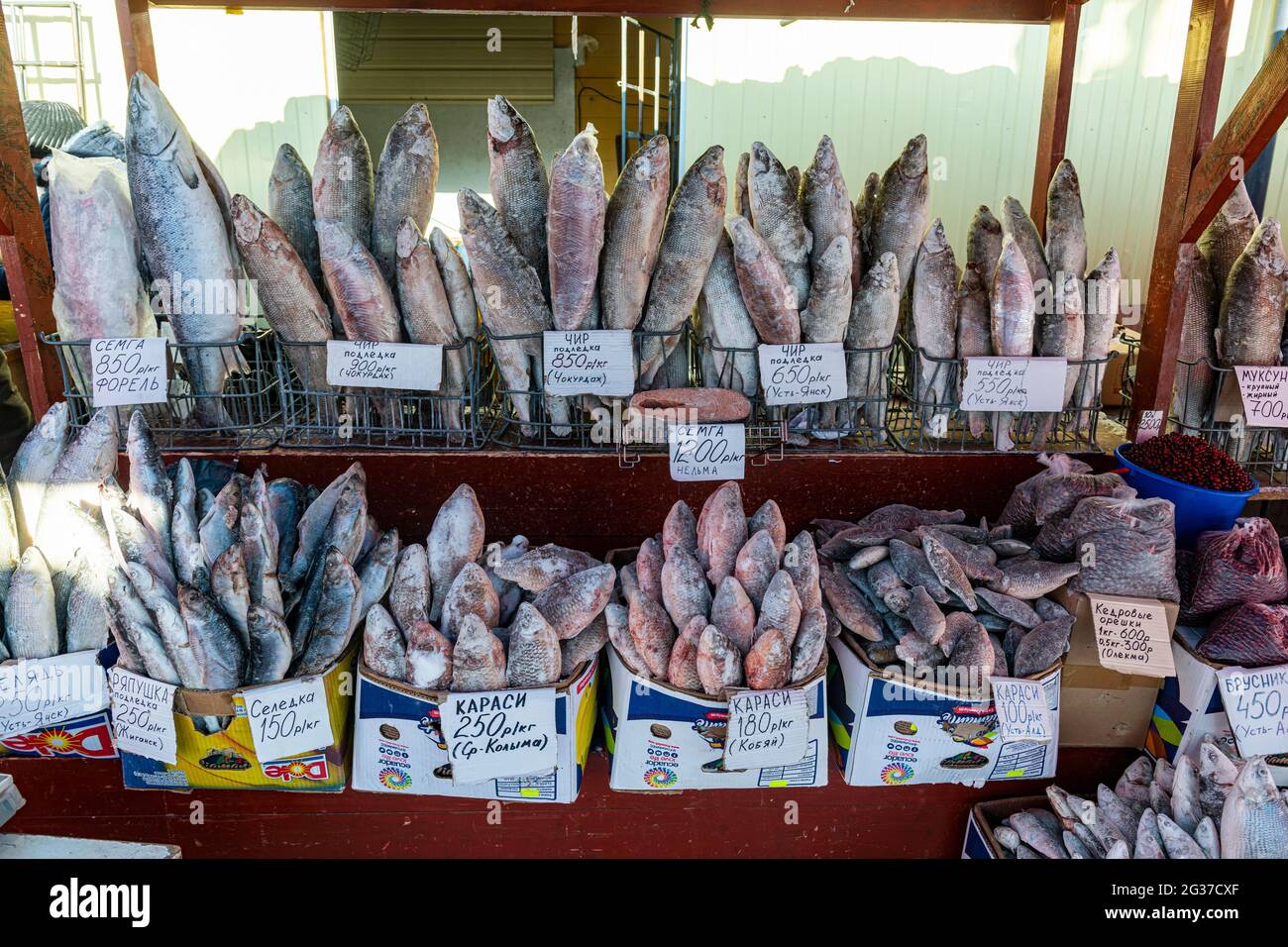 Fish and meat market, Yakutsk, Sakha Republic, Russia Stock Photo - Alamy