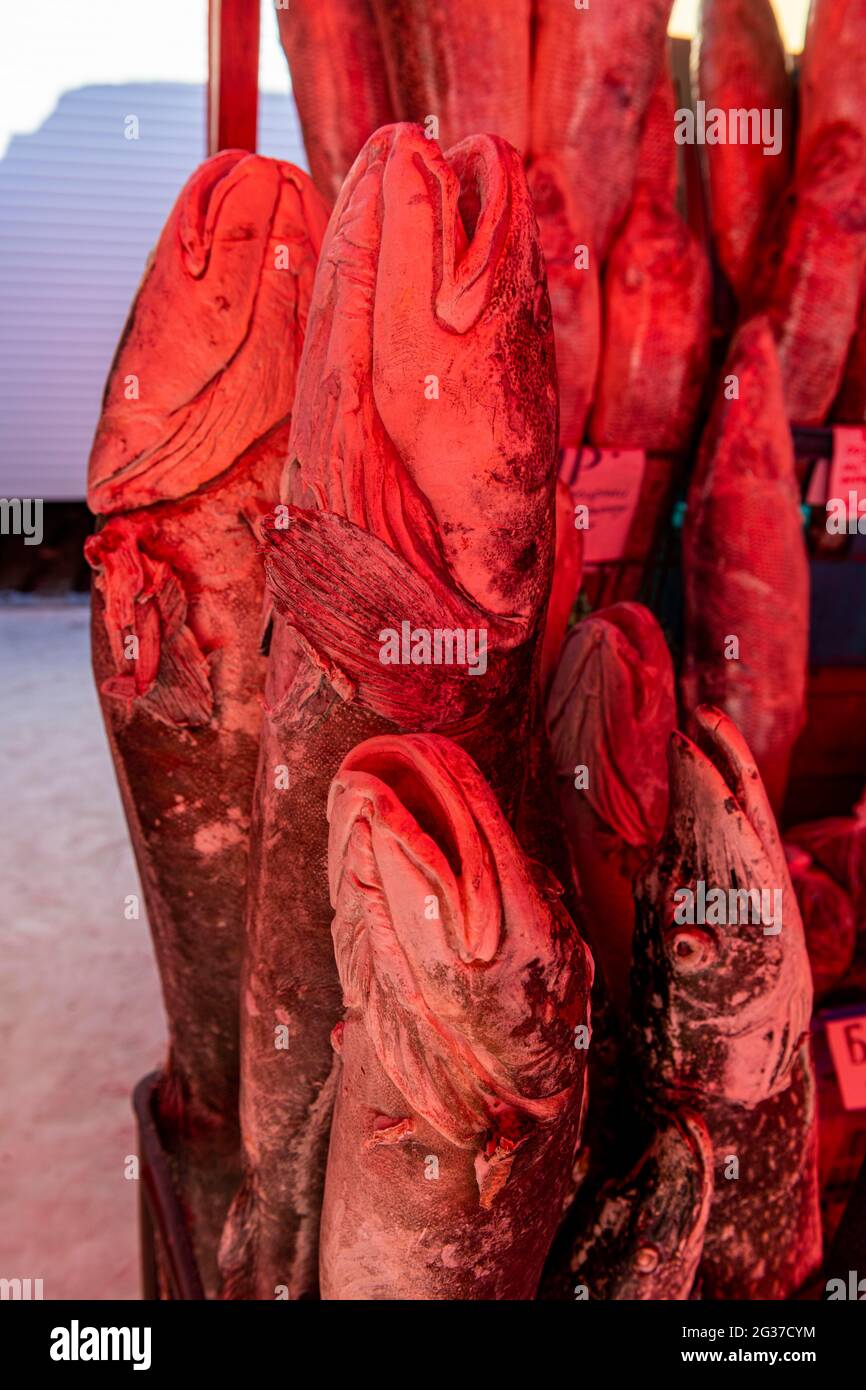 Deep frozen fish at the Fish and meat market, Yakutsk, Sakha Republic