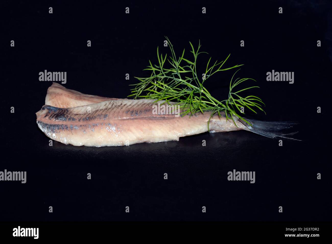 Freshly fermented fillet of Atlantic herring (Clupea harengus), Scheveningen, Netherlands Stock Photo
