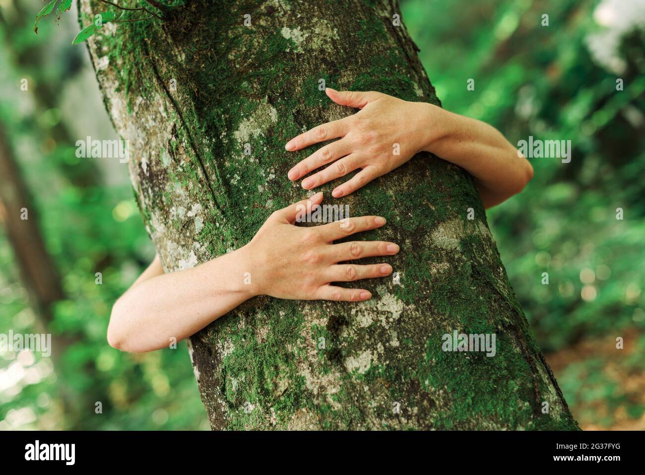 Hugger hires stock photography and images Alamy