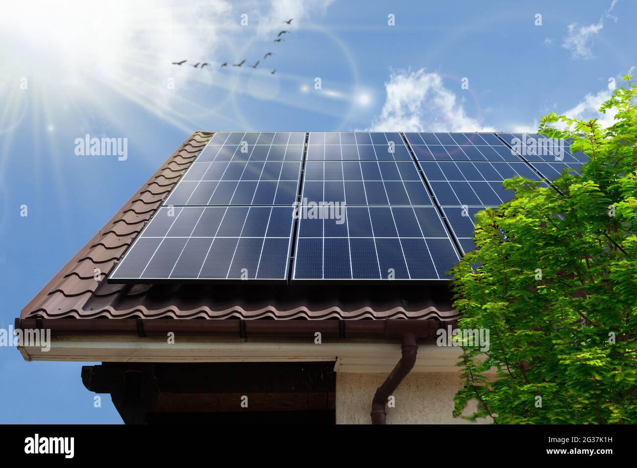Concept clean power energy - solar panel on the roof. Green tree Stock ...