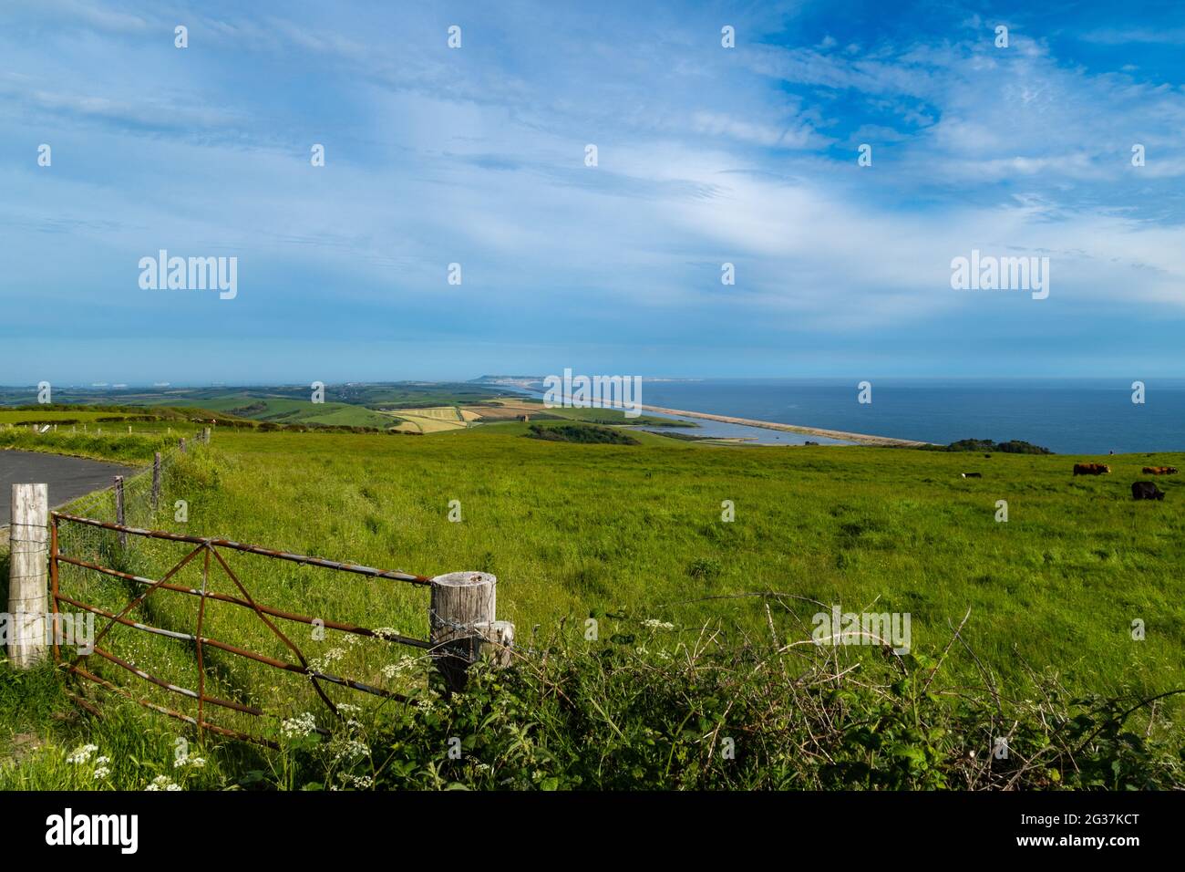 Jurassic coast Stock Photo