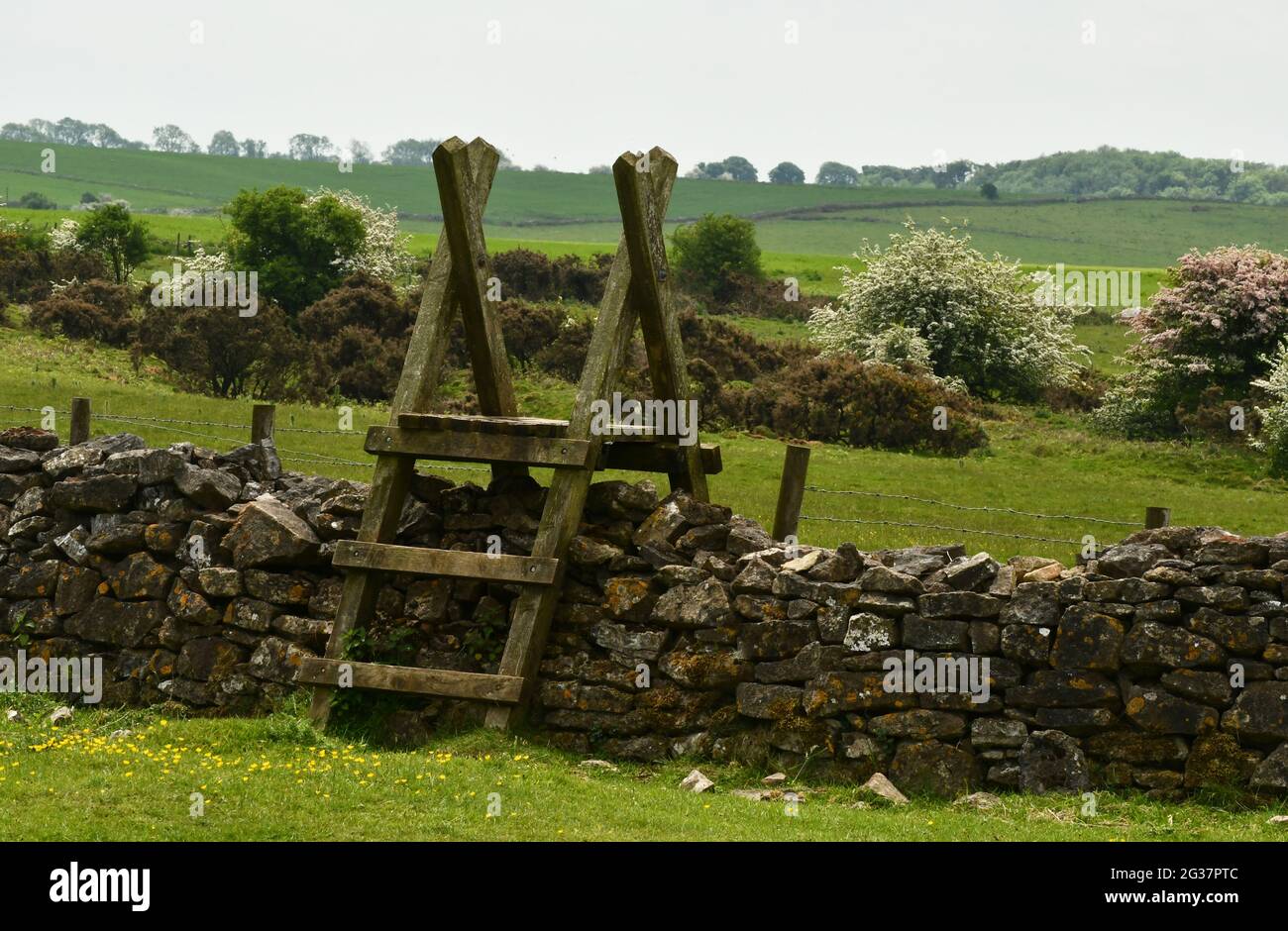 Wooden stile over a dry stone wall in the Ubley Warren nature reserve on the Mendip Hills in Somerset UL Stock Photo