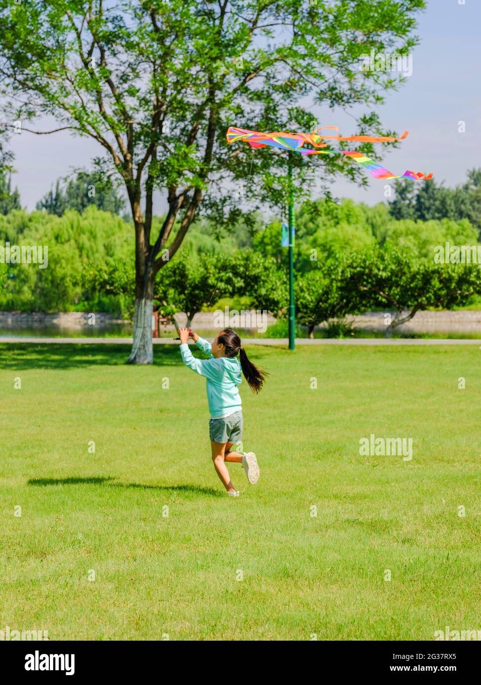 The happy little girl is flying a kite in the park high quality photo ...