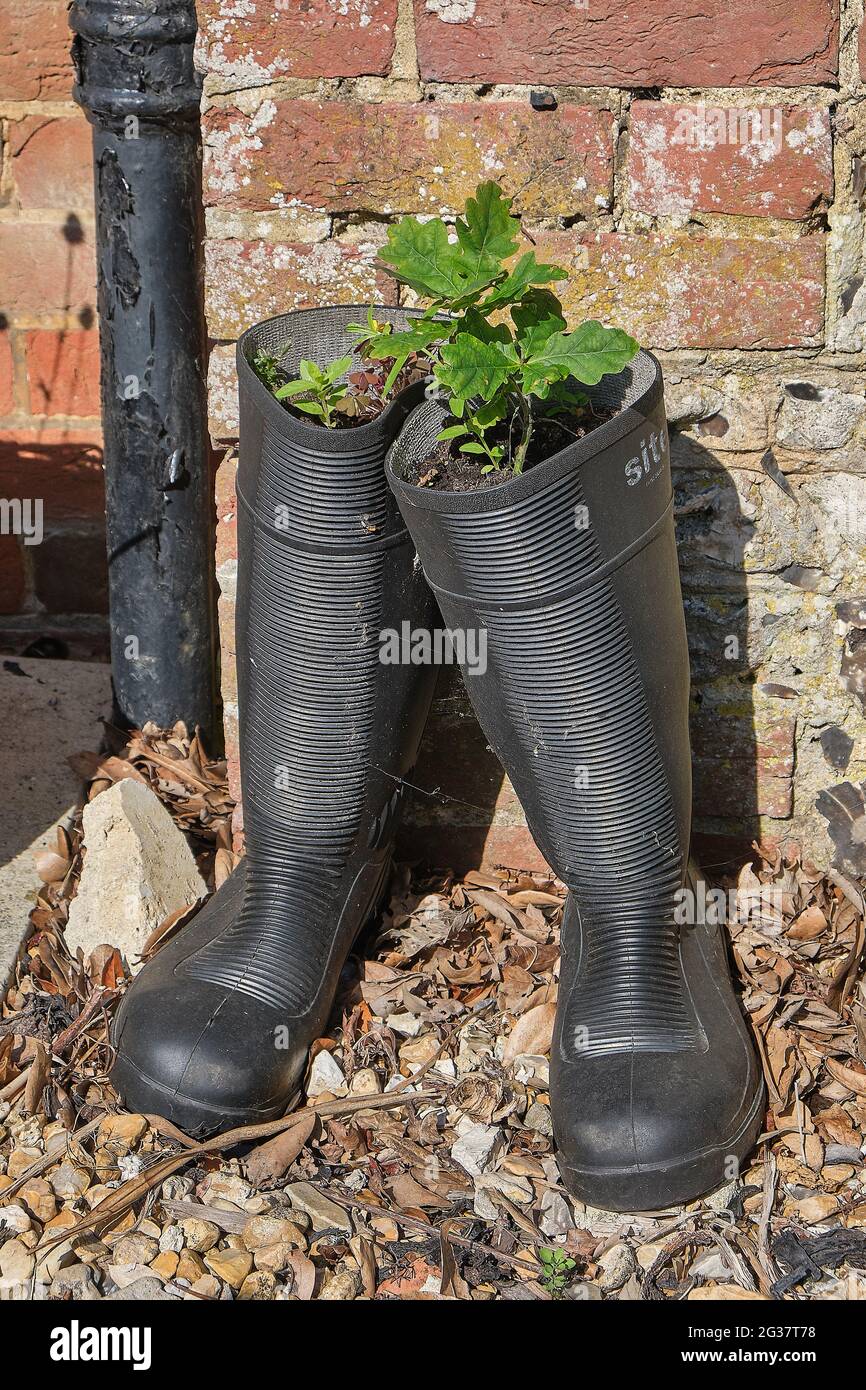 Pair wellington boots hi-res stock photography and images - Alamy