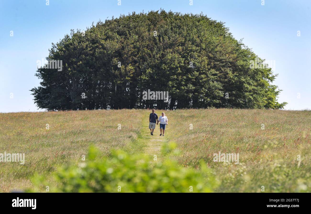 Cranborne, UK. 14th June 2021.  A couple strolling through the fields at Win Green, the highest point on Cranborne Chase, an Area of Outstanding Natural Beauty on the Dorset / Wiltshire border on the hottest day of the year so far. Credit: Richard Crease/Alamy Live News Stock Photo