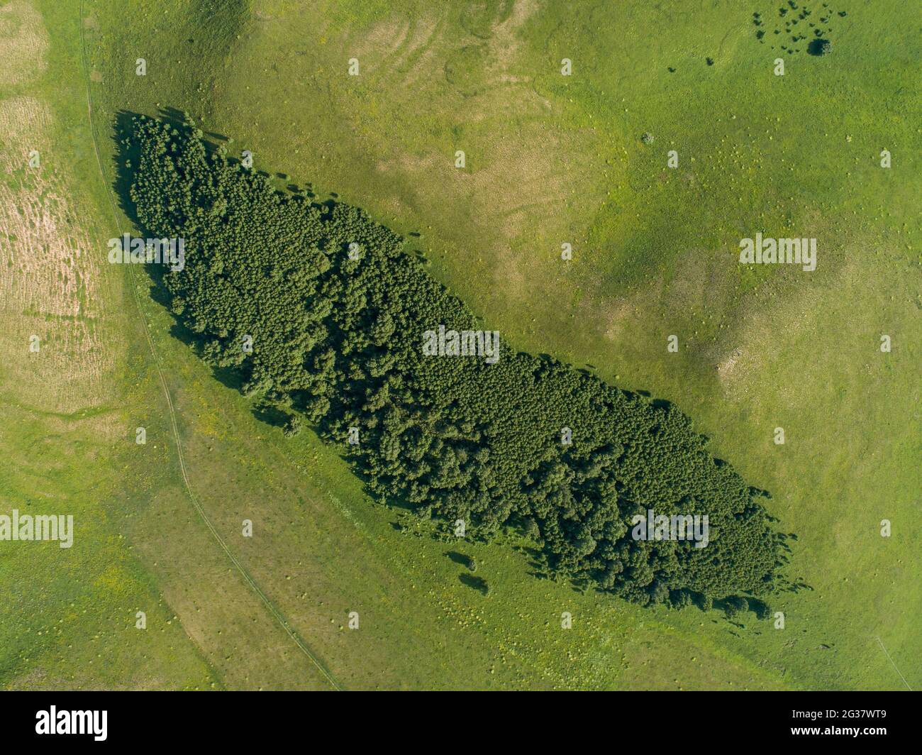 grassland in aerial view Stock Photo