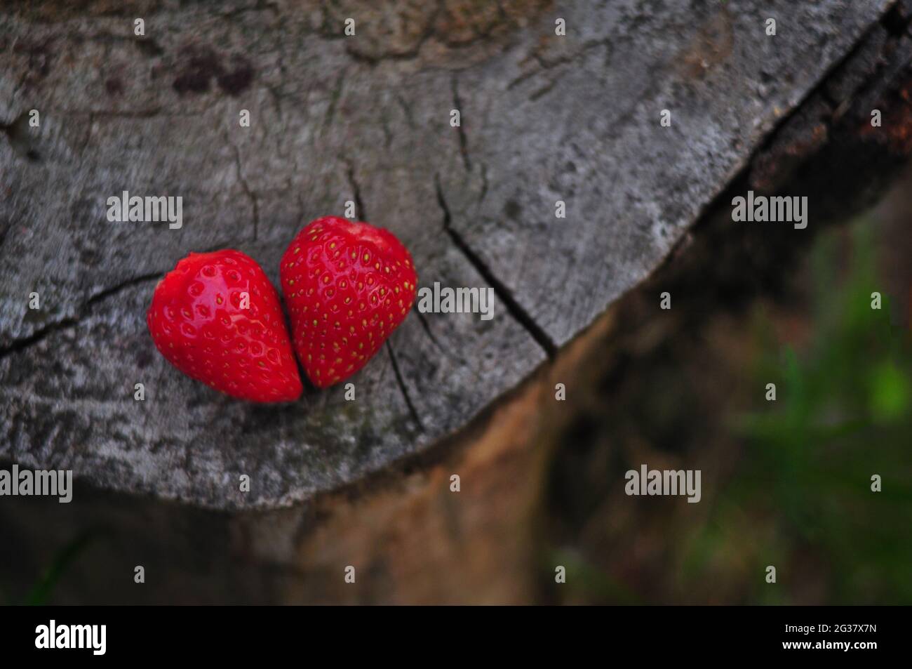 Red strawberry in wooden background, love concept Stock Photo