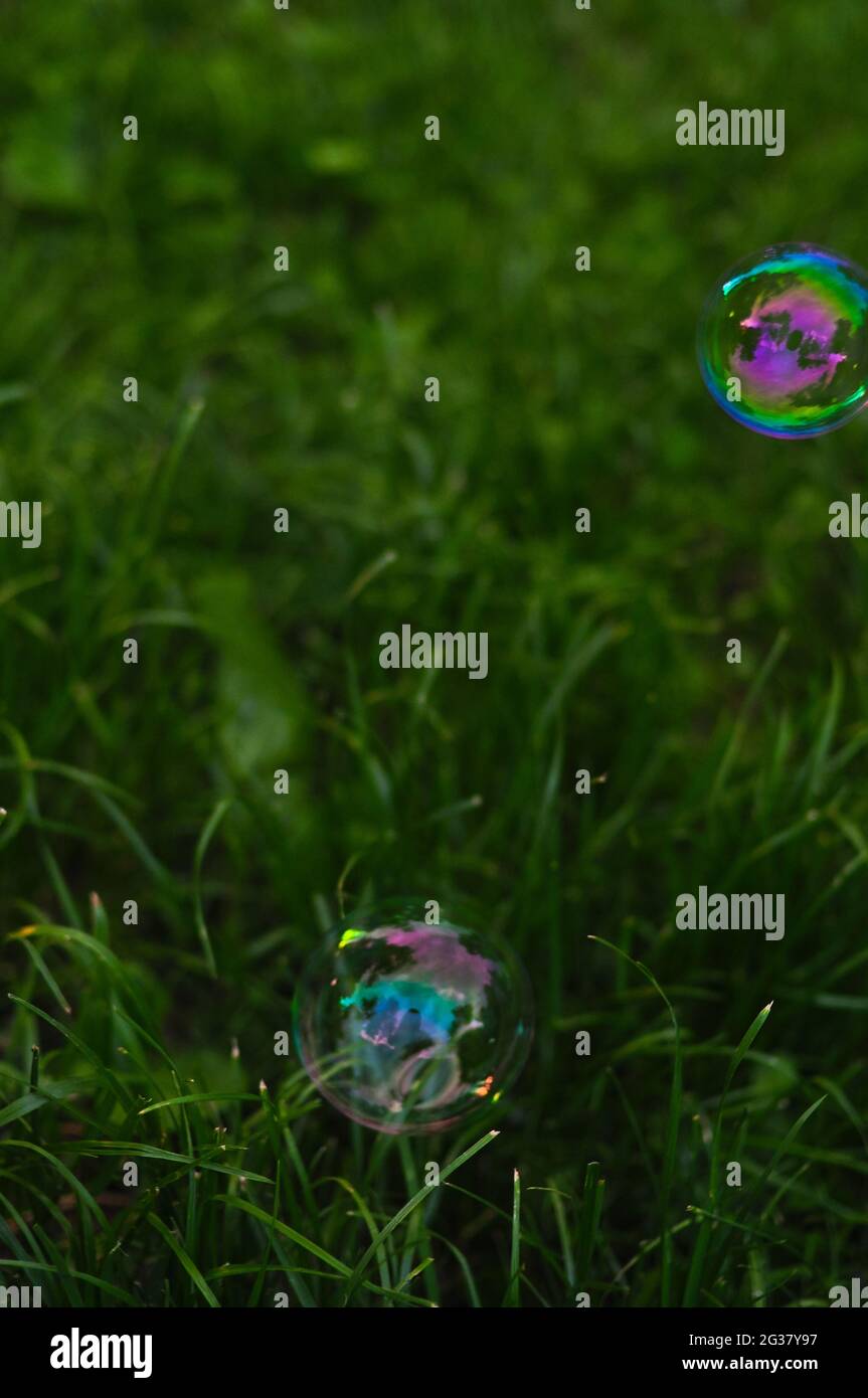 Soap bubbles on green natural background copy space Stock Photo