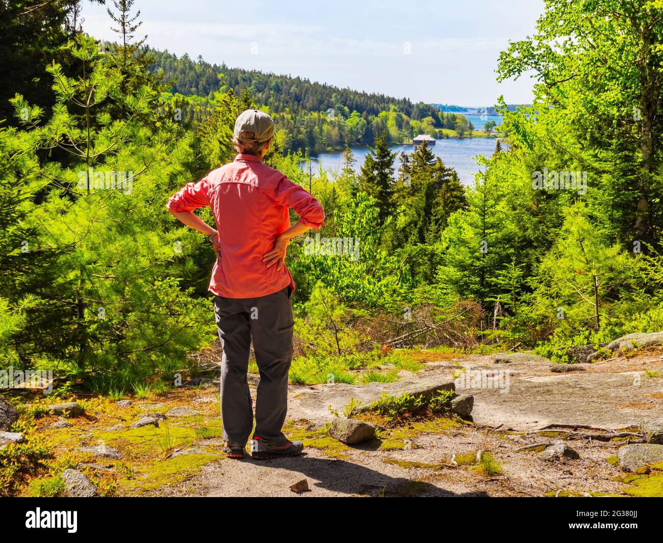 Little Long Pond, Little Long Pond Loop Carriage Road, Acadia National Park, Mount Desert Island, Maine, USA Stock Photo