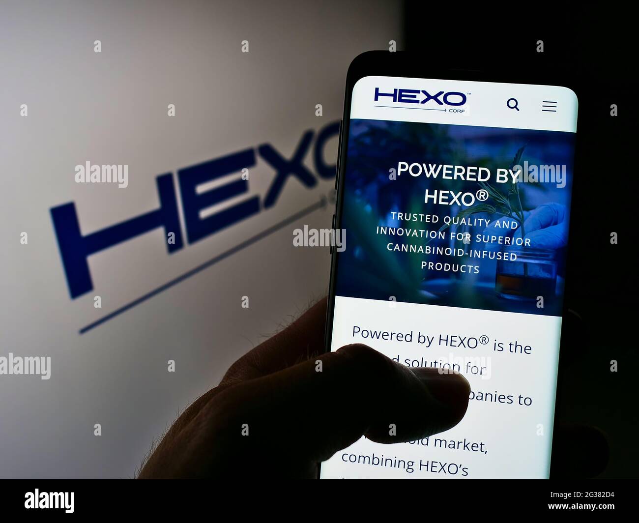 Person holding cellphone with website of Canadian cannabis company HEXO Corp on screen in front of business logo. Focus on center of phone display. Stock Photo