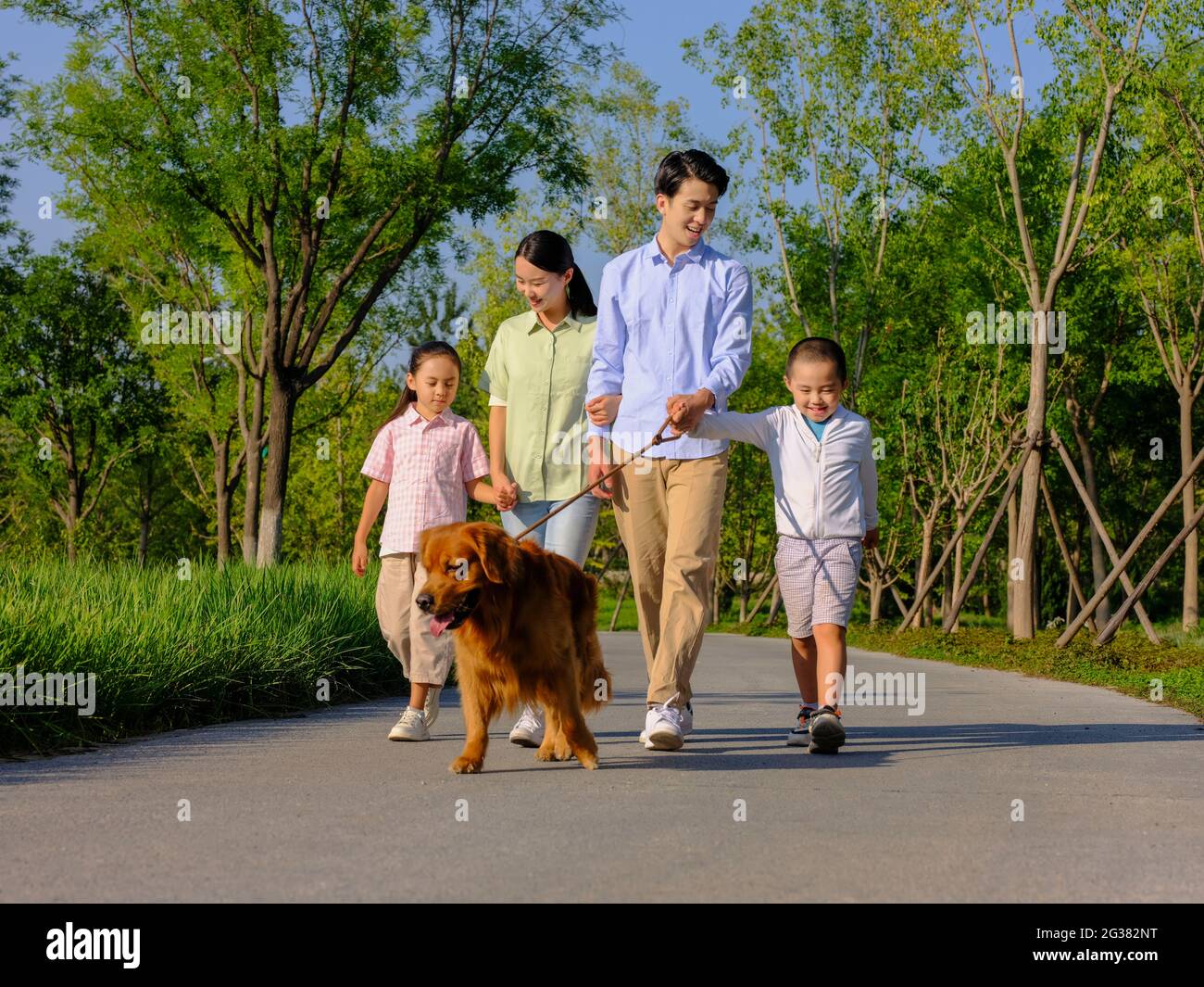 Happy family of four walking dogs in the park high quality photo Stock ...