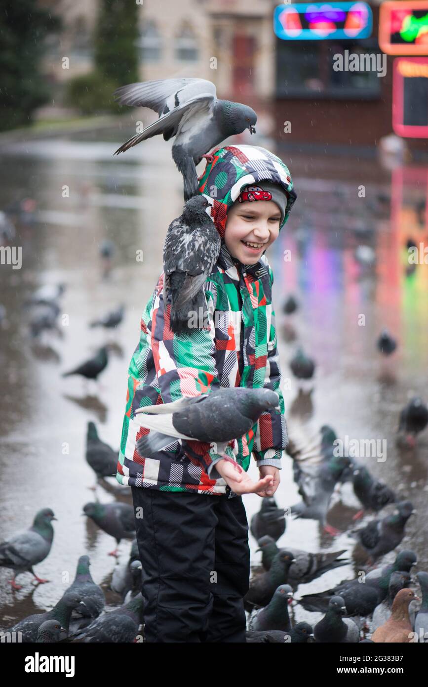 pigeons surrounded the boy in the rain Stock Photo