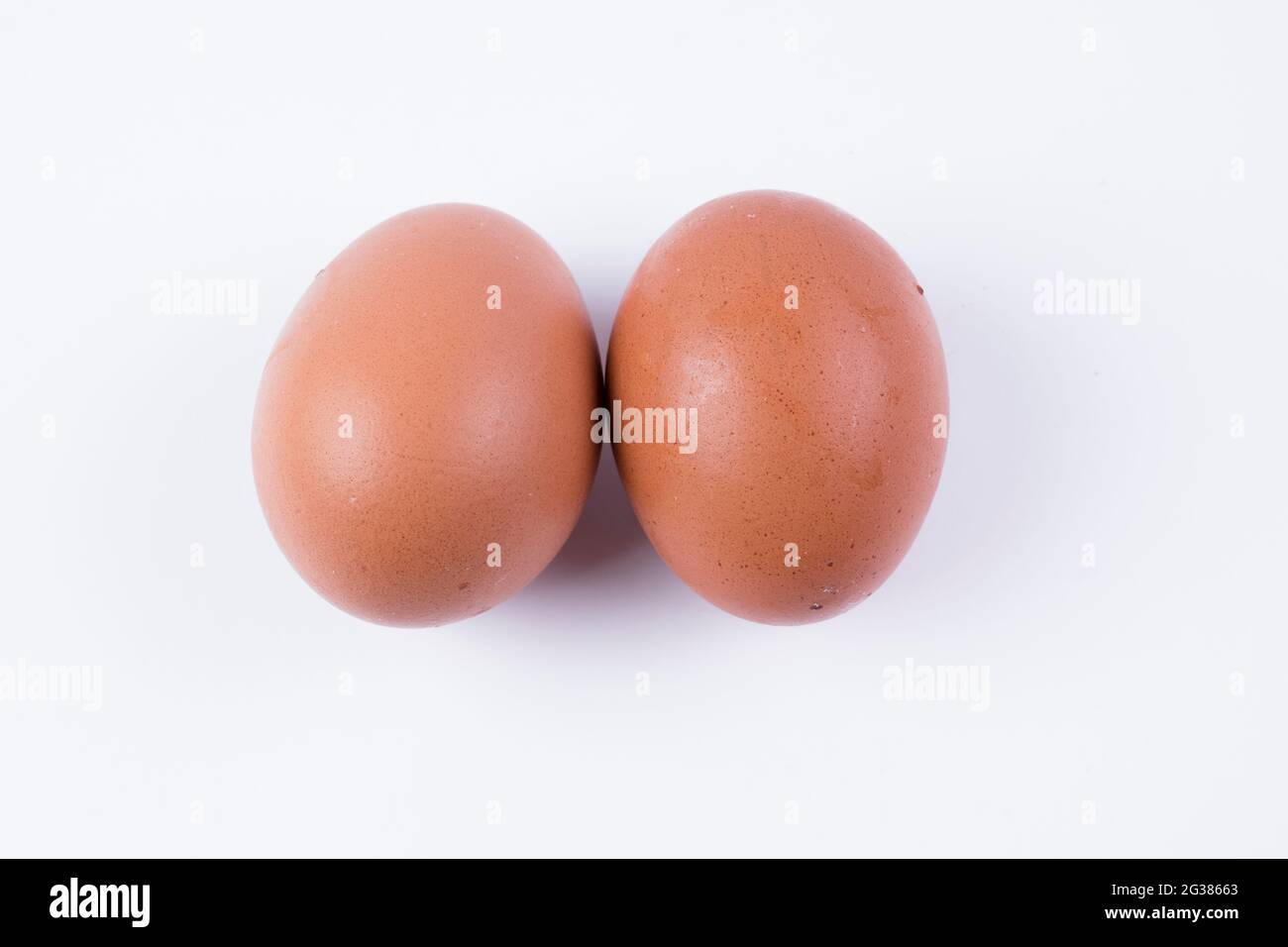Chicken egg. The eggs of birds are a common food in the diet of humans