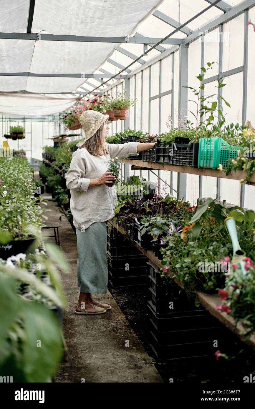 Young girl in hat and natural linen clothes stands in a greenhouse and ...