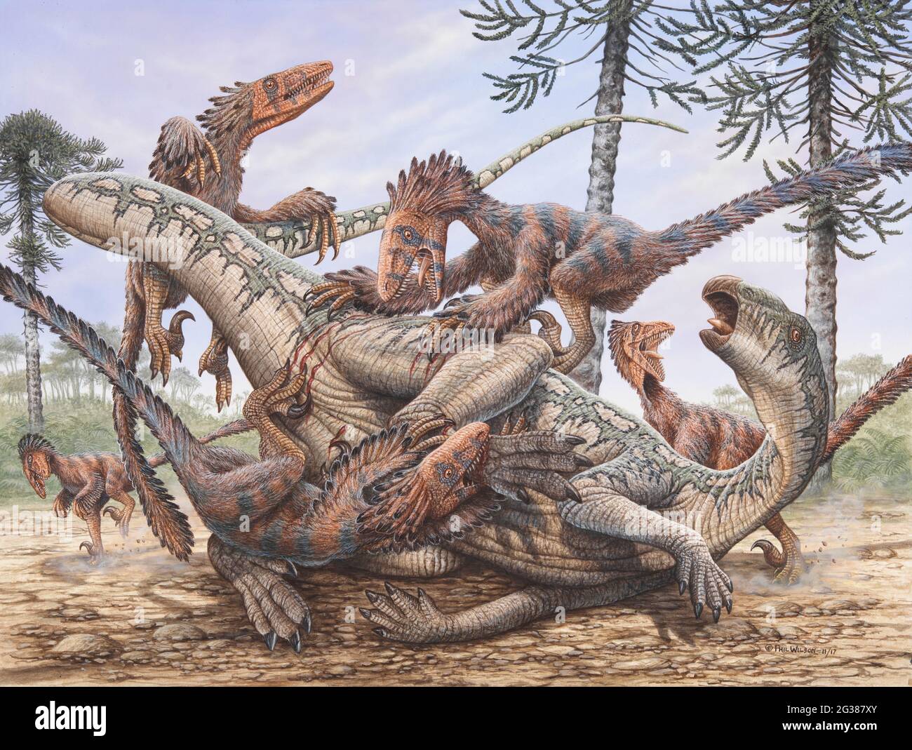 Deinonychus dinosaur, illustration Stock Photo - Alamy