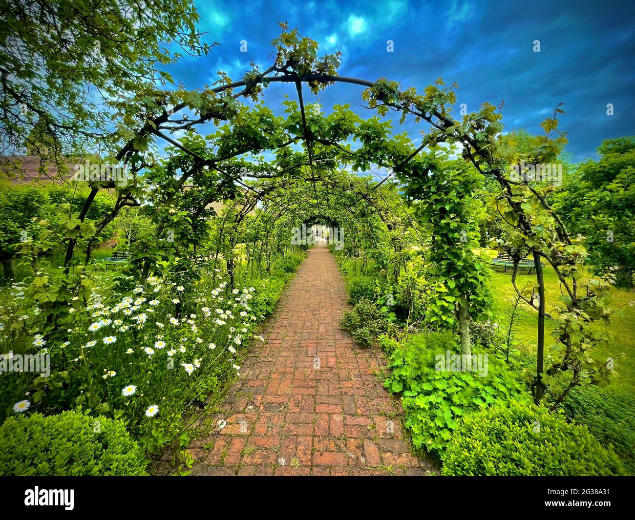 Spring  love Walk Stock Photo