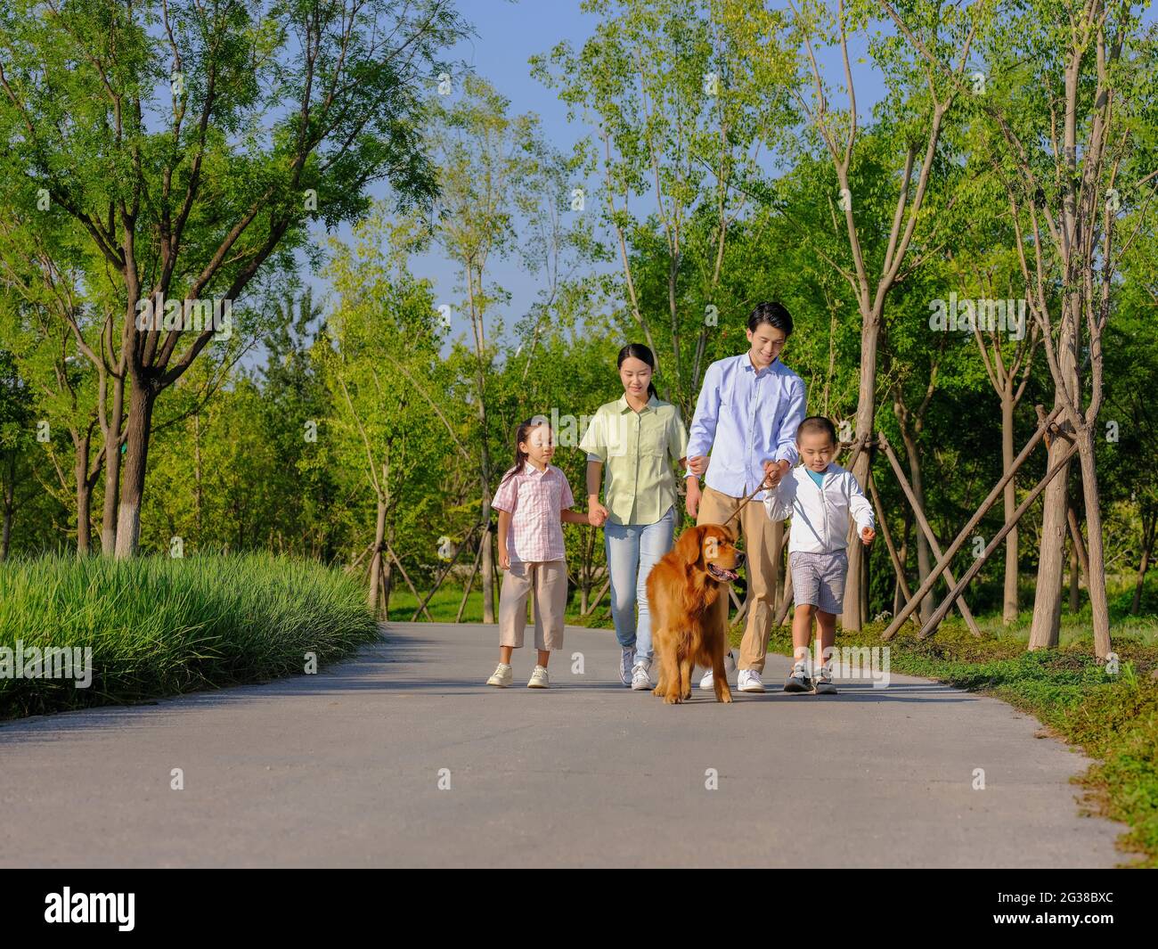 Happy family of four walking dogs in the park high quality photo Stock ...