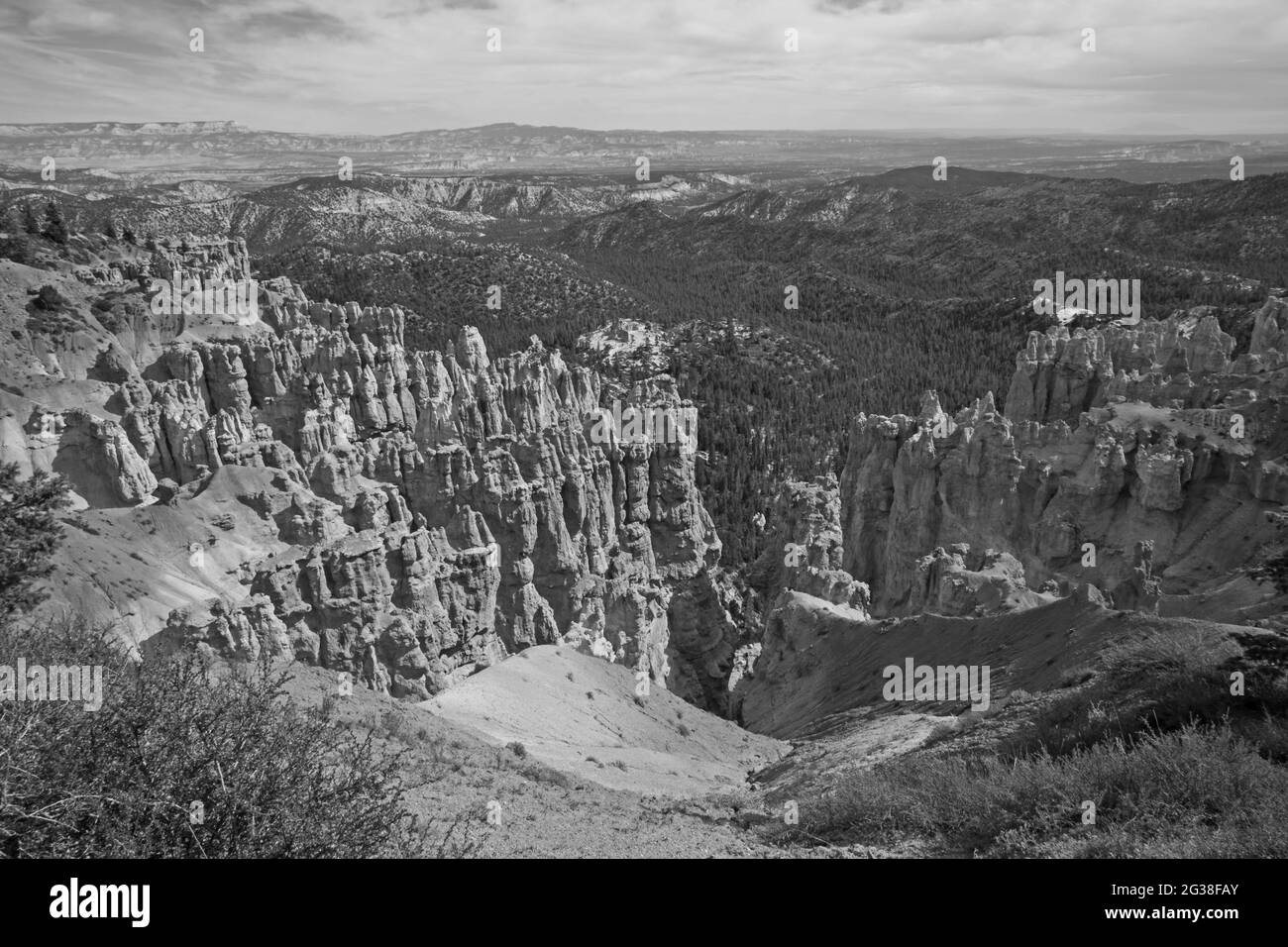 View over Bryce Canyon 2406 BW Stock Photo