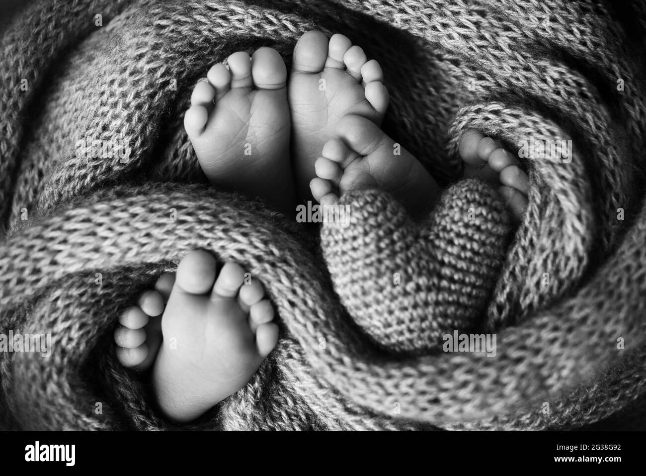 The legs of three newborn babies in a blanket. The heart is in the legs of newborn  triplets. Black and white studio photography Stock Photo - Alamy