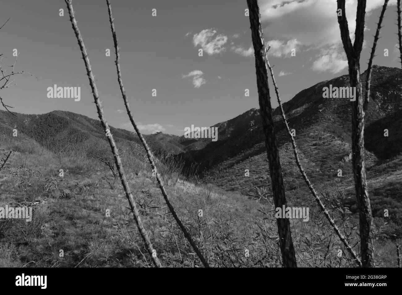 Box Canyon views Stock Photo