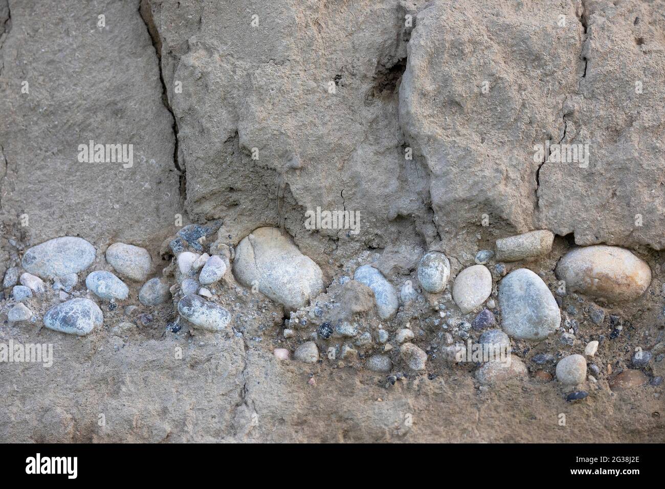 A layer of cobblestones in fluvial deposits exposed along the cut bank from previous floods of the Bow River in Calgary, Canada Stock Photo