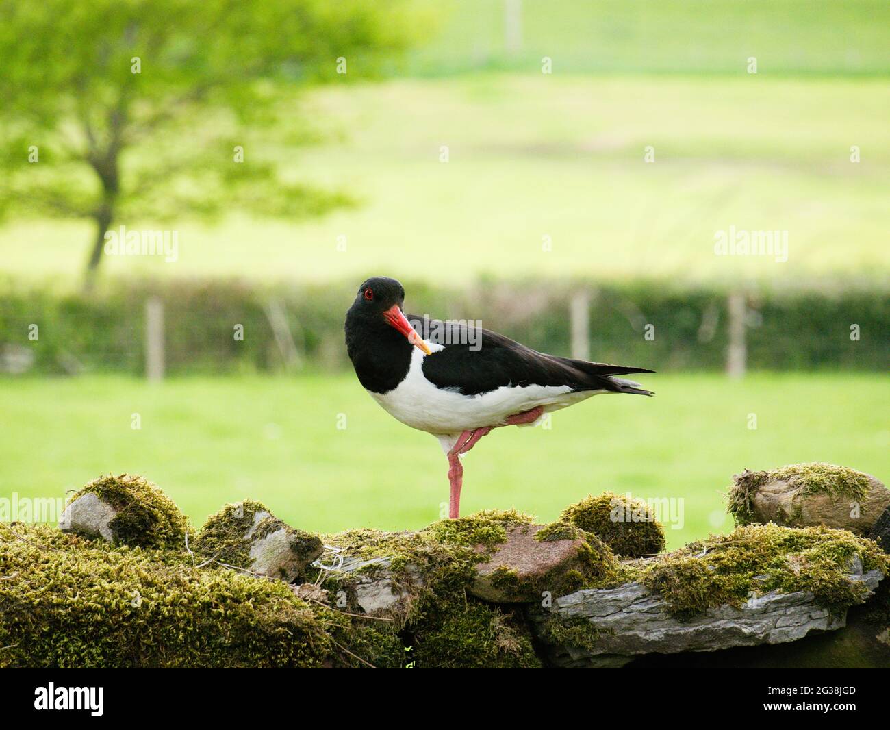 Yorkshire à pied hires stock photography and images Alamy