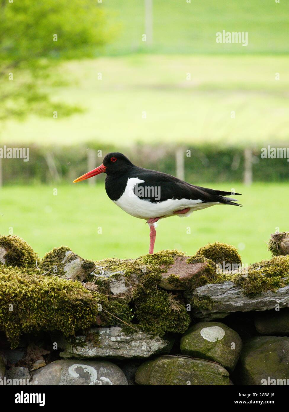 Yorkshire à pied hires stock photography and images Alamy