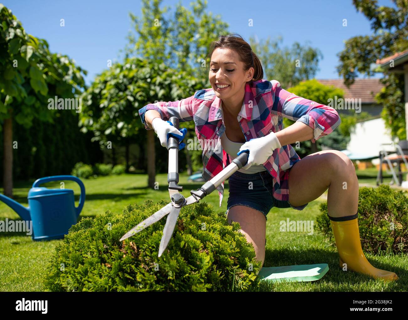 Attractive woman gardening on a sunny day. Young gardener using hedge shears on bush kneeling in yard smiling. Stock Photo