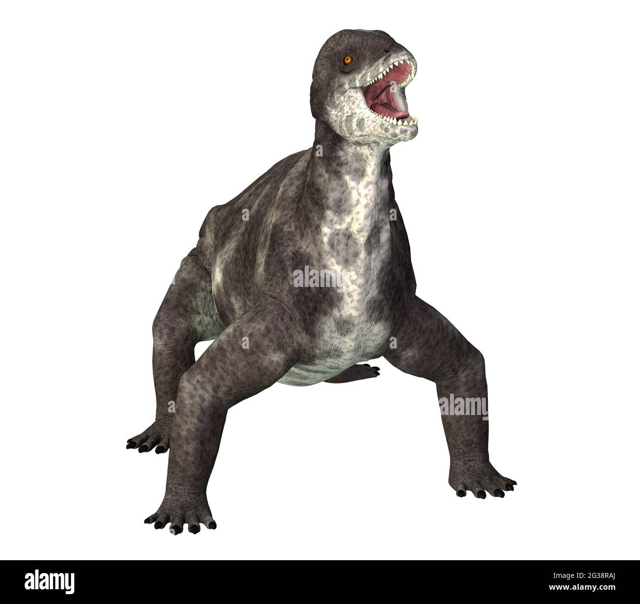 Criocephalosaurus was a therapsid dinosaur that lived during the Permian Period of South Africa. Stock Photo