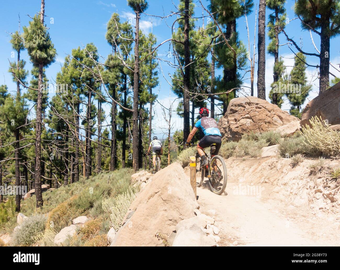 Mountain biking, mountain biker on mountain trail on Gran Canaria, Canary Islands, Spain Stock Photo