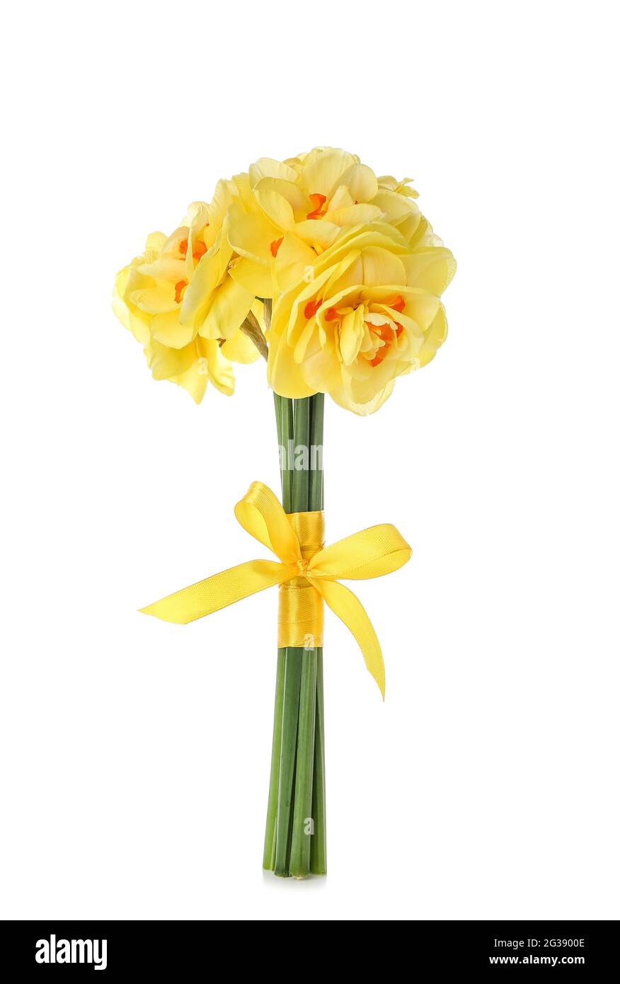 Bouquet of beautiful narcissus flowers on white background Stock Photo